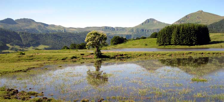 de l'tang de Lascourt, vue sur le Puy de Peyre Arse, la Brche de Roland,  le Puy Mary, et le Puy de la Tourte. 