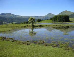 cantal2015.JPG