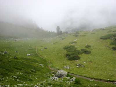 IMG_2347.JPG