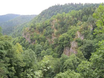 IMG_1676.JPG